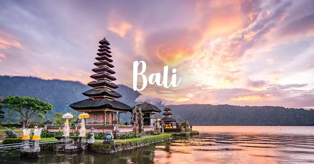 Image 1 of Fast-Paced Bali