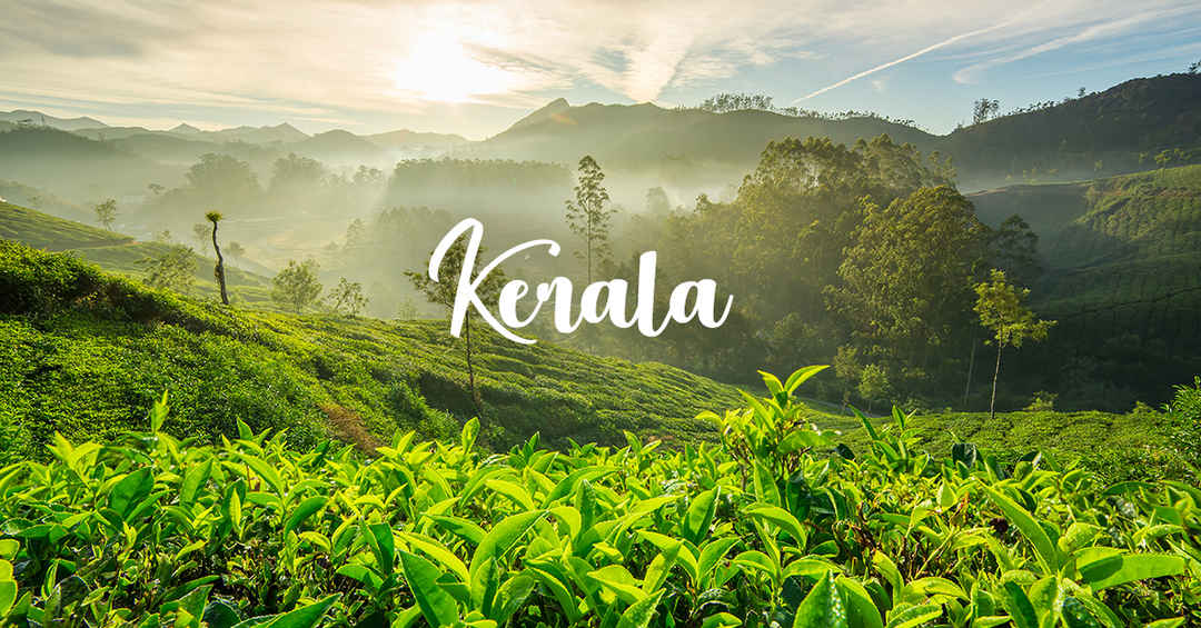 Photo of Vibrant Kerala