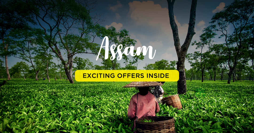 Photo of Assam & Kaziranga- Ex Delhi