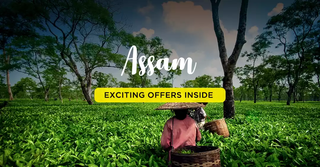 Photo of Assam & Kaziranga