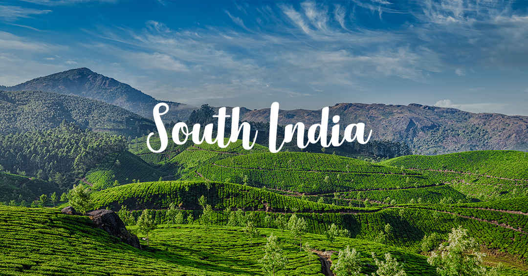 south india trip package