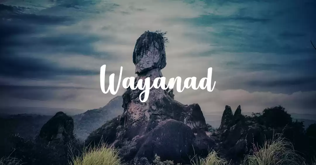 Image 1 of Wonderful Wayand