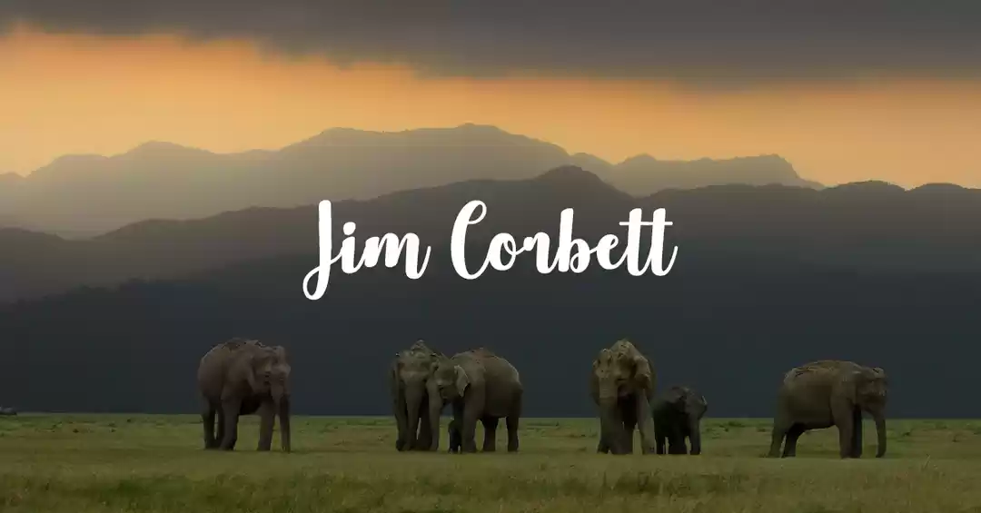 Image 1 of Jim Corbett National Park