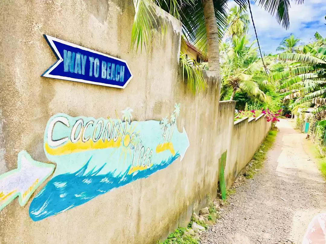 Photo of Coconut Tree Hill Rd