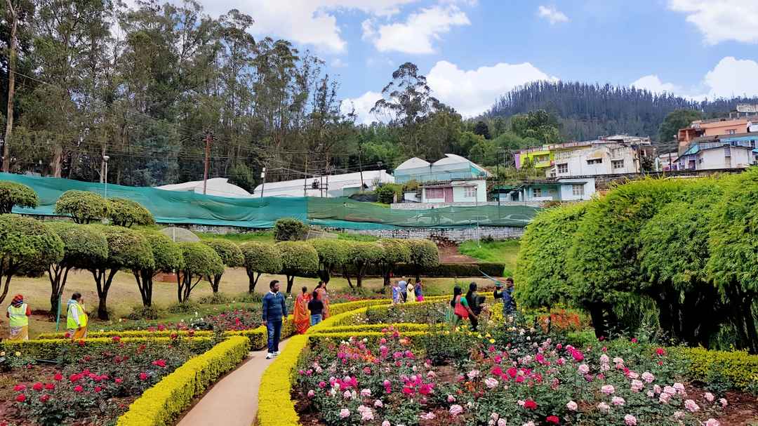 places to visit near rose garden ooty