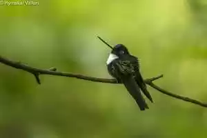 Photo of Places to Visit