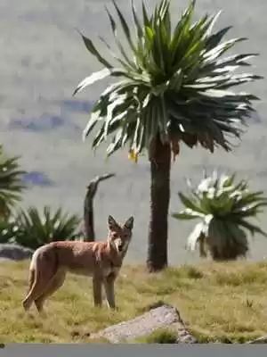 Photo of Places to Visit