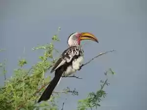 Photo of Places to Visit