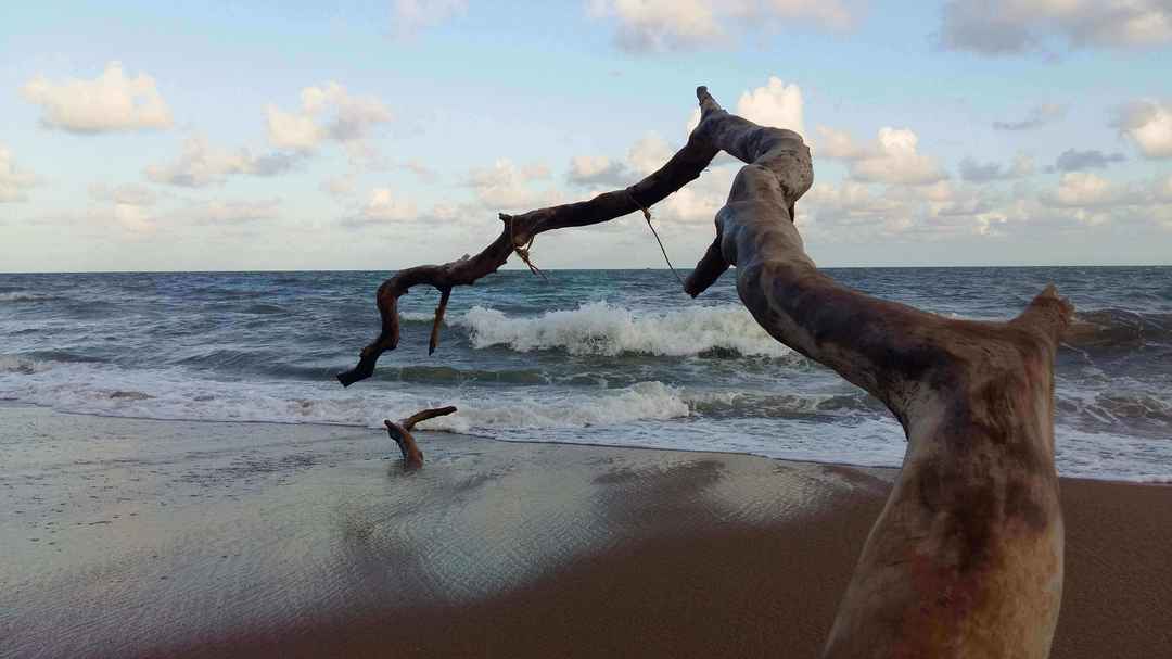 Photo of Andaman: Heaven on Ocean