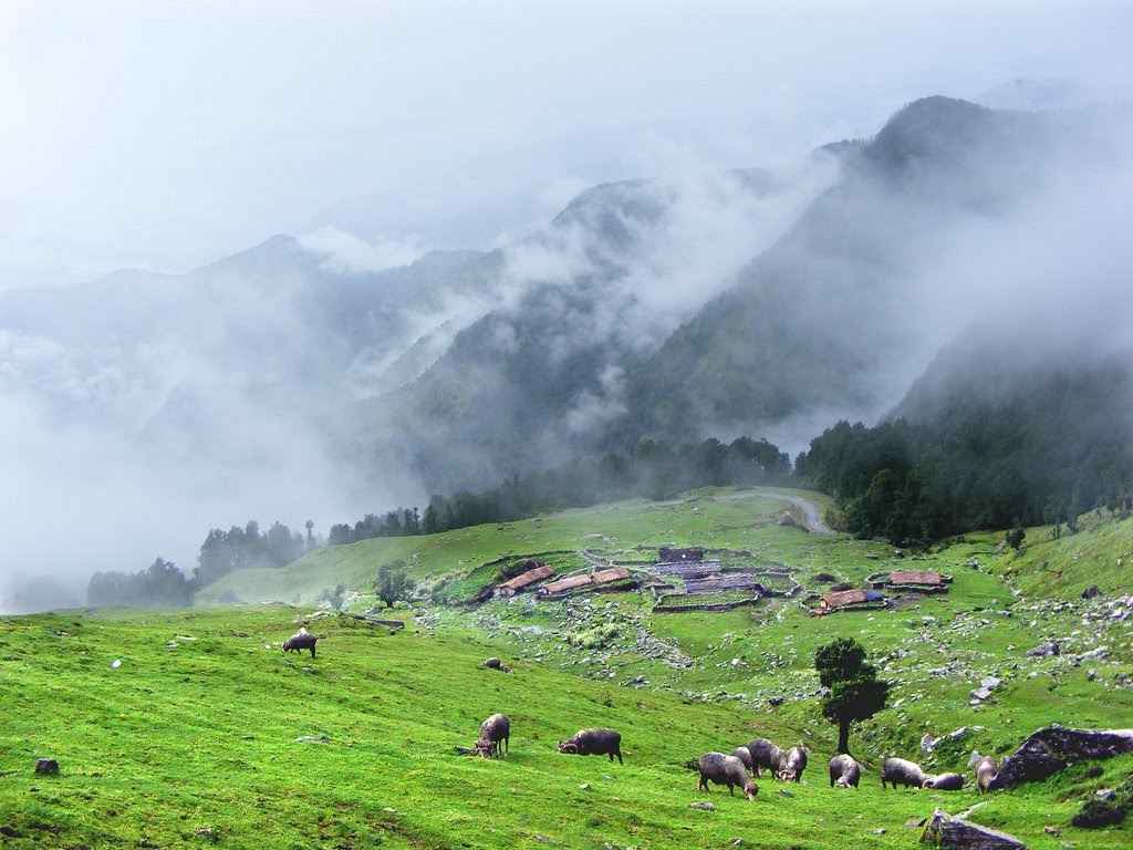 Photo of 8 Days in Uttarakhand