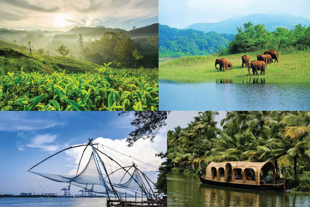 Photo of 6 Days in Kerala