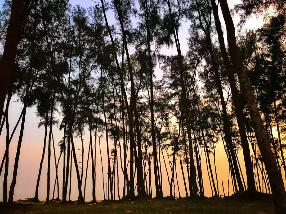 Photo of Digha Beach