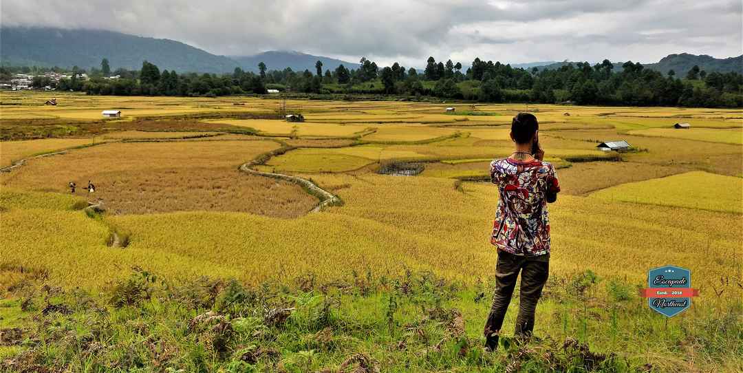 Photo of 6 Days Escape to Ziro Festival 2019