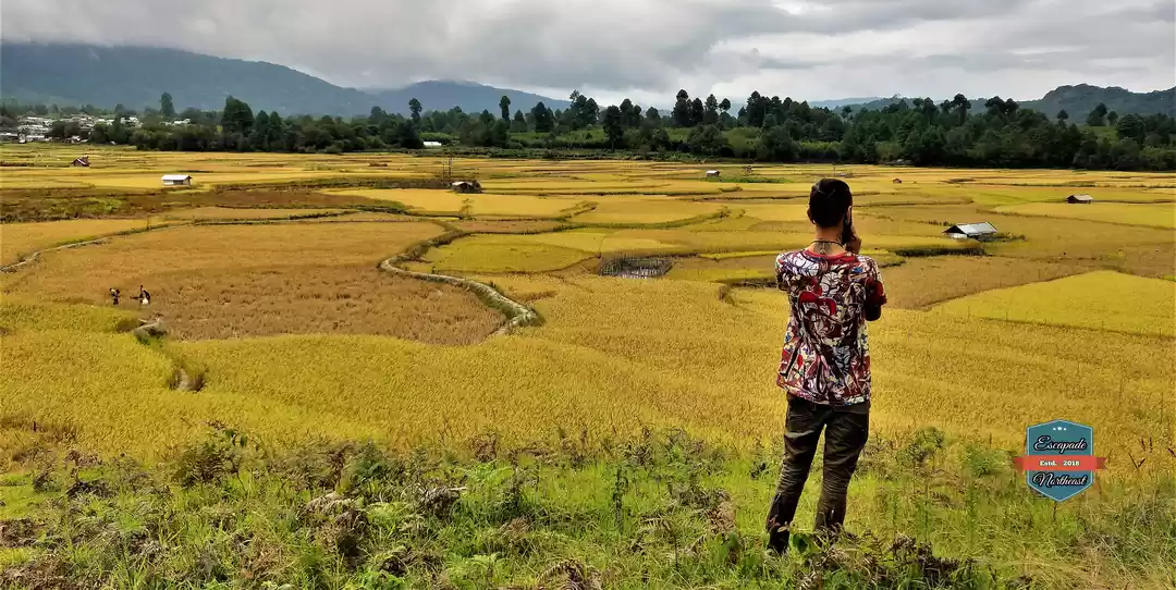 Image 1 of 6 Days Escape to Ziro Festival 2019