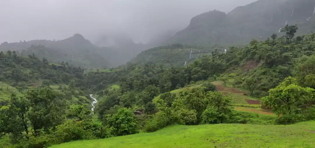Image 1 of Kalsubai Monsoon Trek