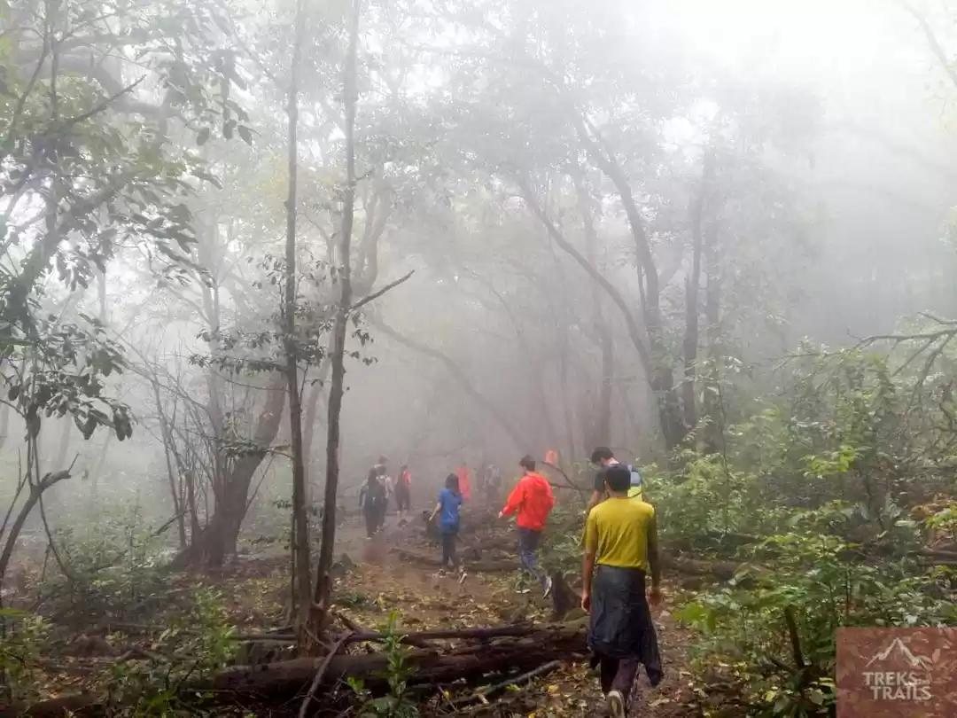 Image 1 of 2 Days Andharban Jungle Trek