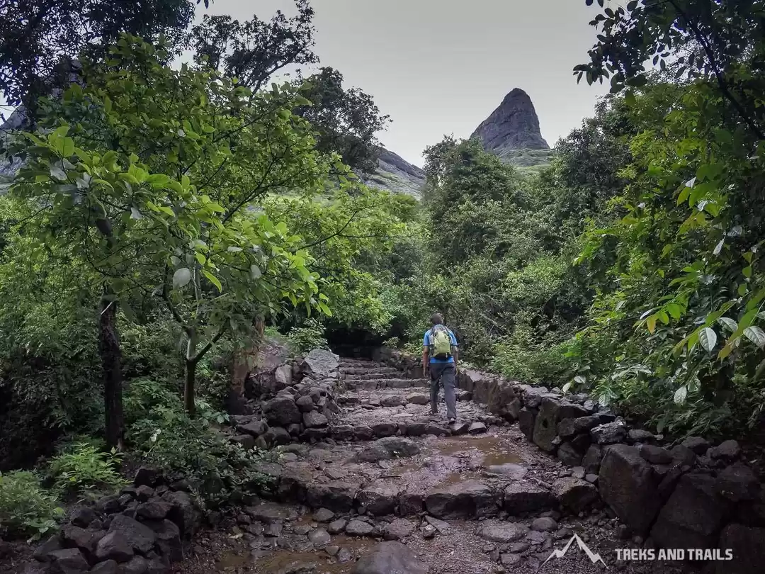 Image 1 of Naneghat Monsoon Trek