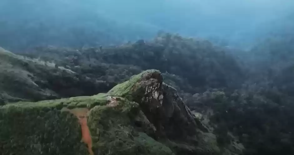 Photo of केरल के इस छोटे ट्रि