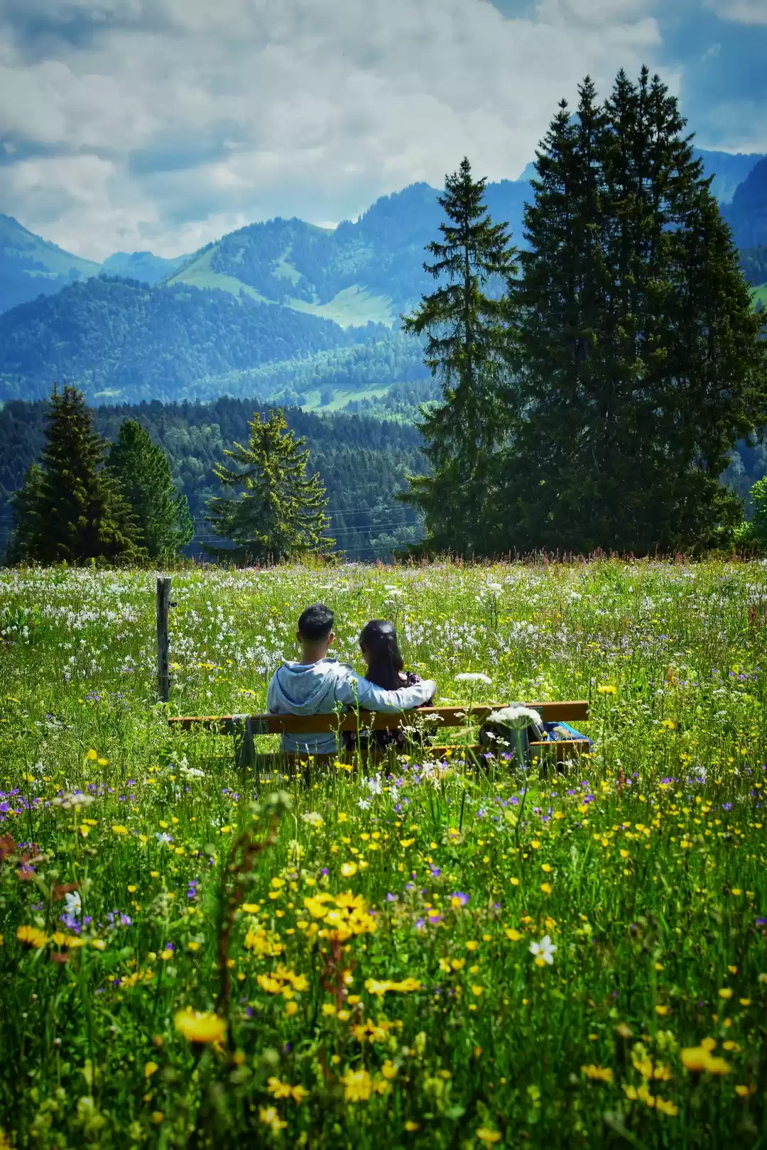 Photo of Les Pléiades