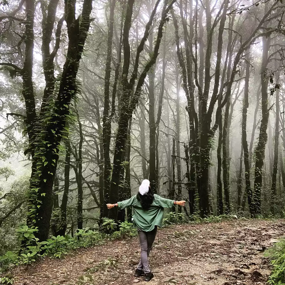 Photo of Binsar zero point