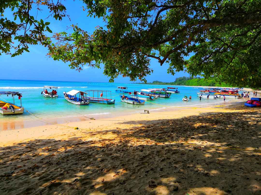 Photo of Experience Andaman