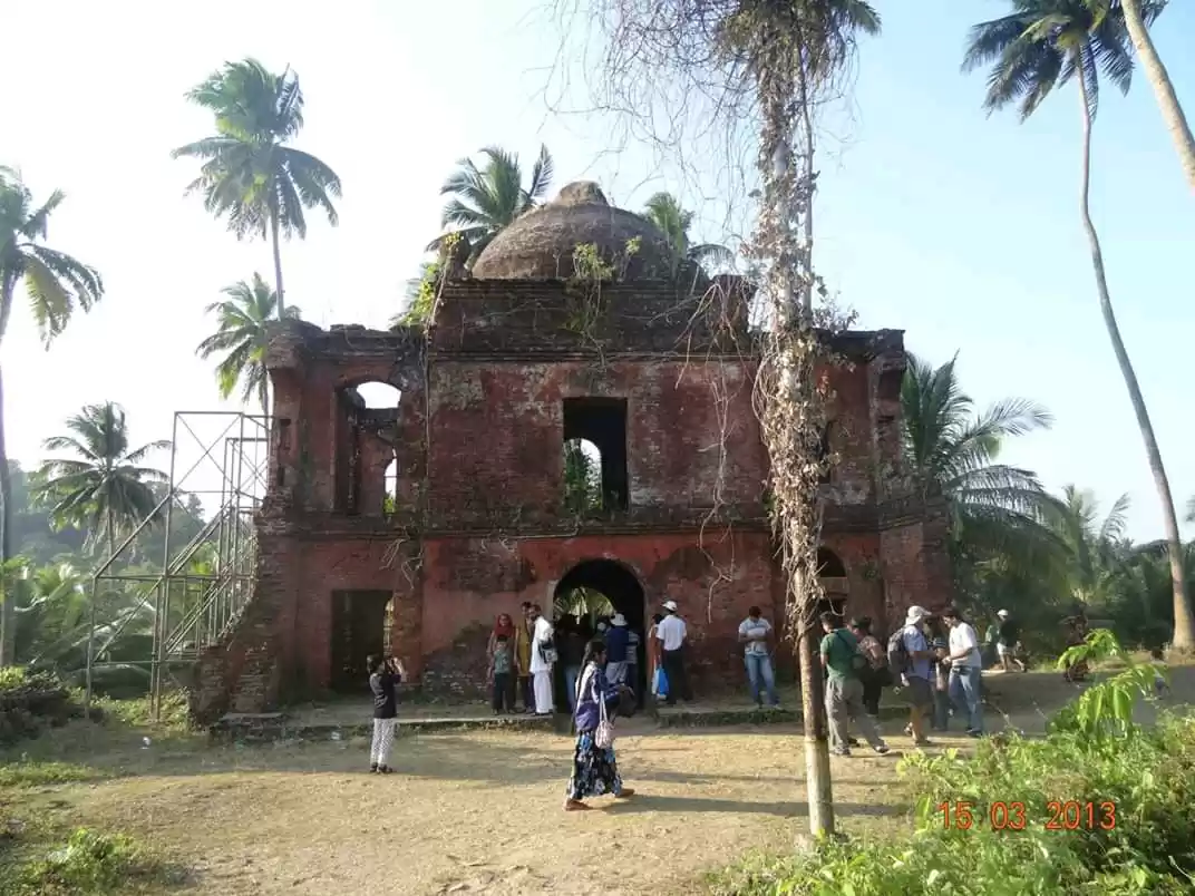 Photo of Viper Island