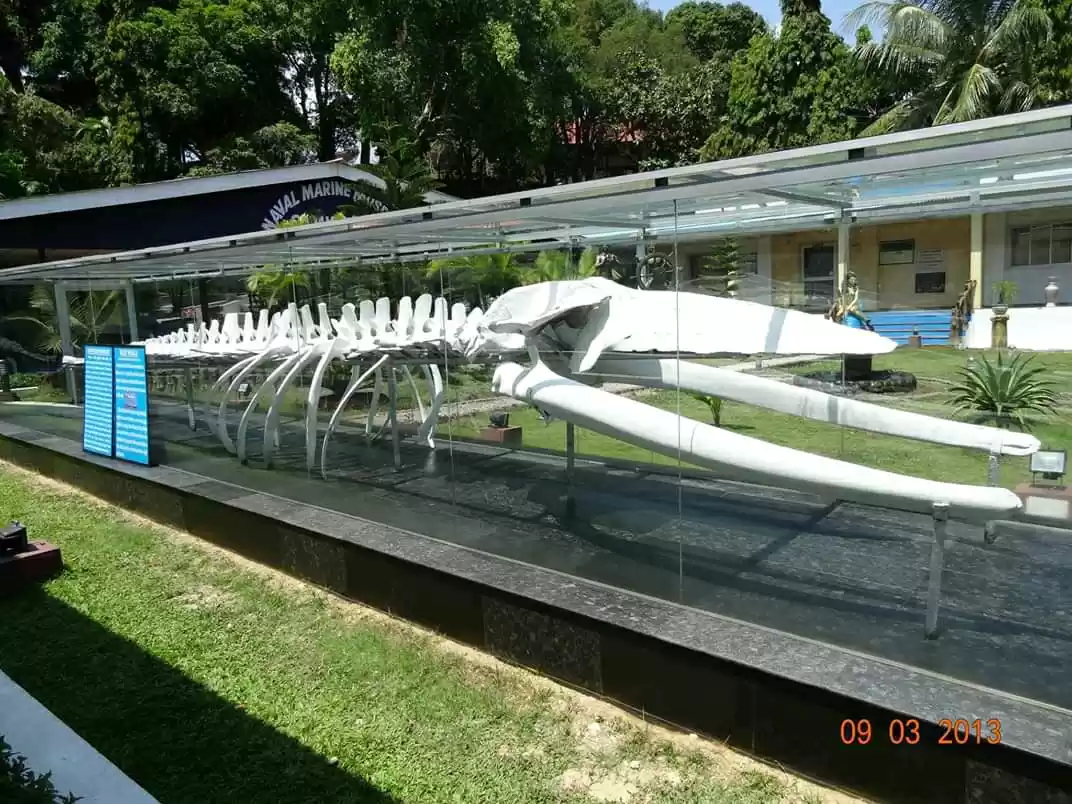 Photo of Anthropological Museum