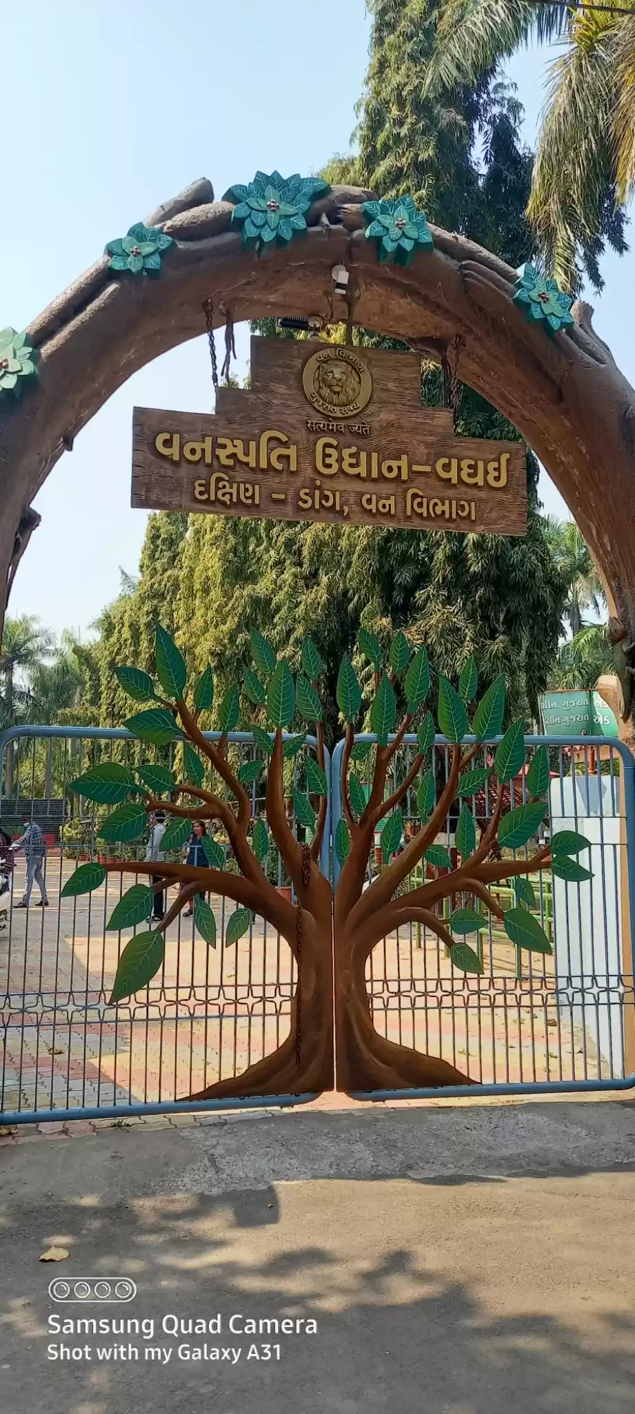 Photo of Waghai Botanical Garden