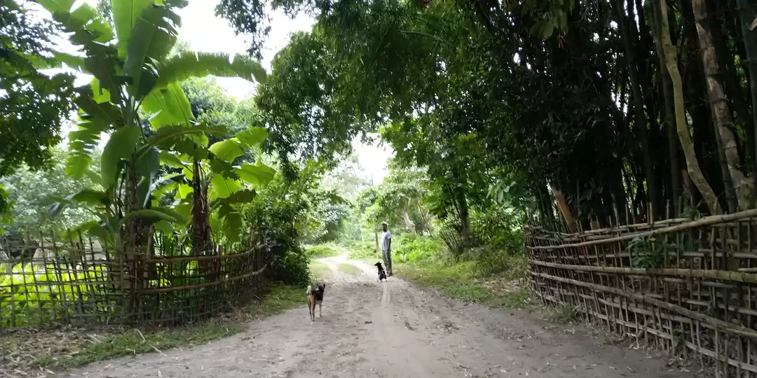Photo of Mepo Okum Eco Camp