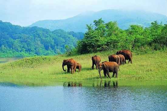 Photo of Splendour Kerala