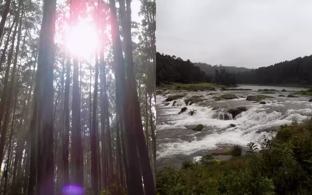 Photo of Pykara WaterFalls