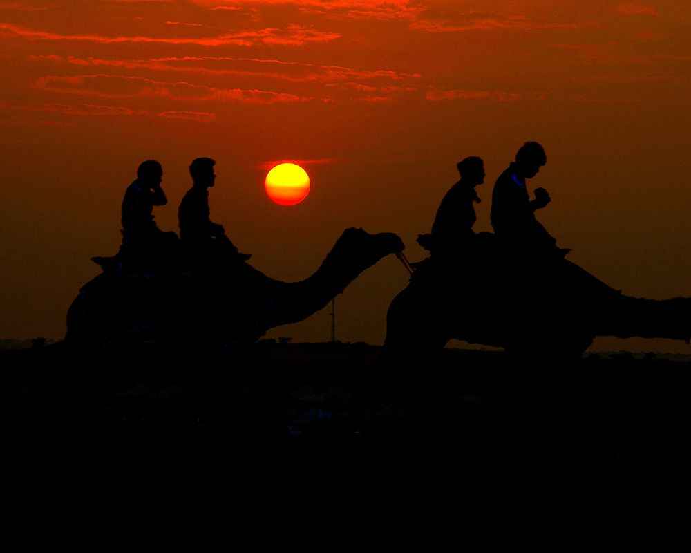 Photo of Jaisalmer Desert Safari