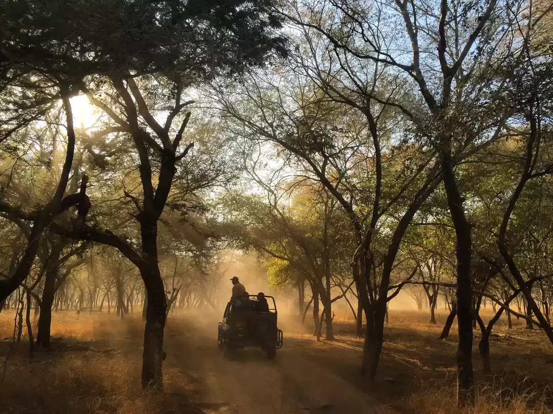 Photo of Sawai Madhopur