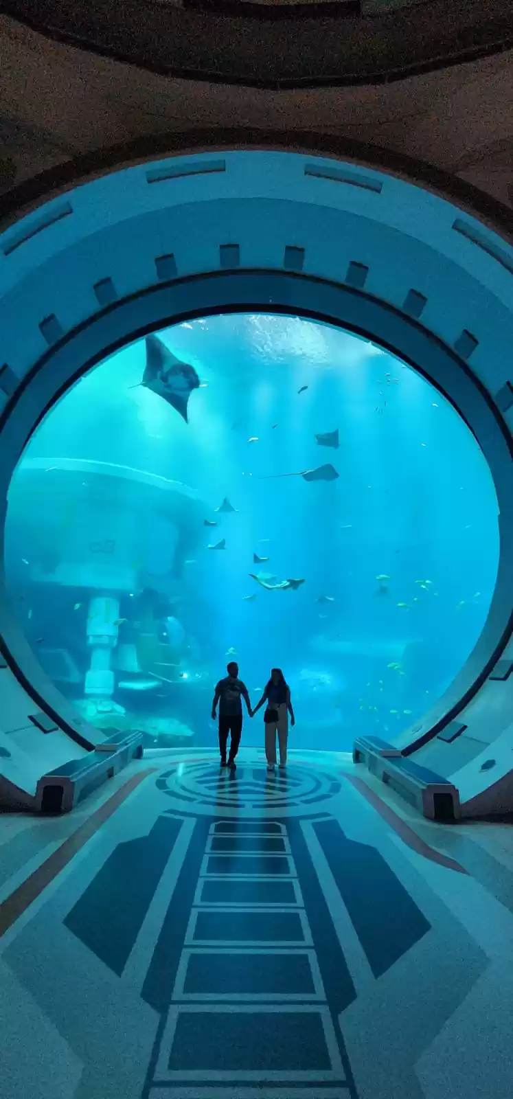 Photo of A Unique Travel Expe