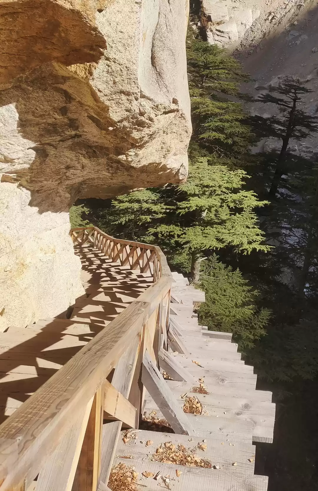 Photo of Exploring the Hidden