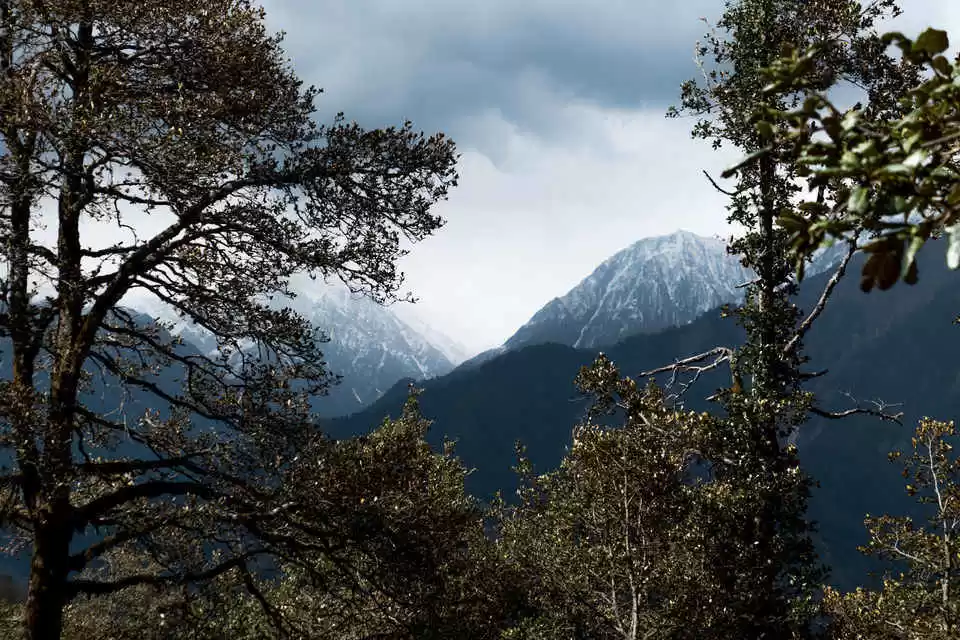 Photo of धर्मशाला से बस 