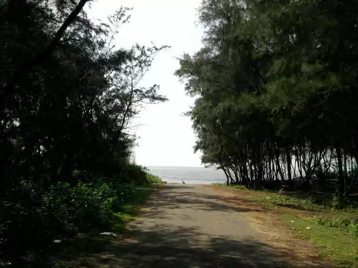 Photo of लहरों के बीच वक