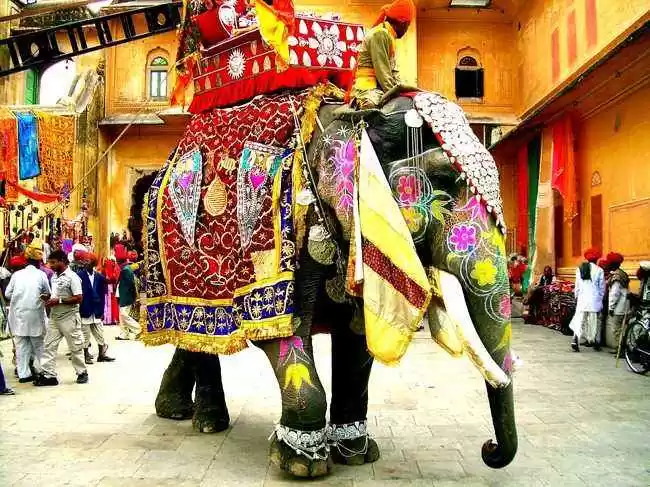 Photo of ये है गुलाबी शह
