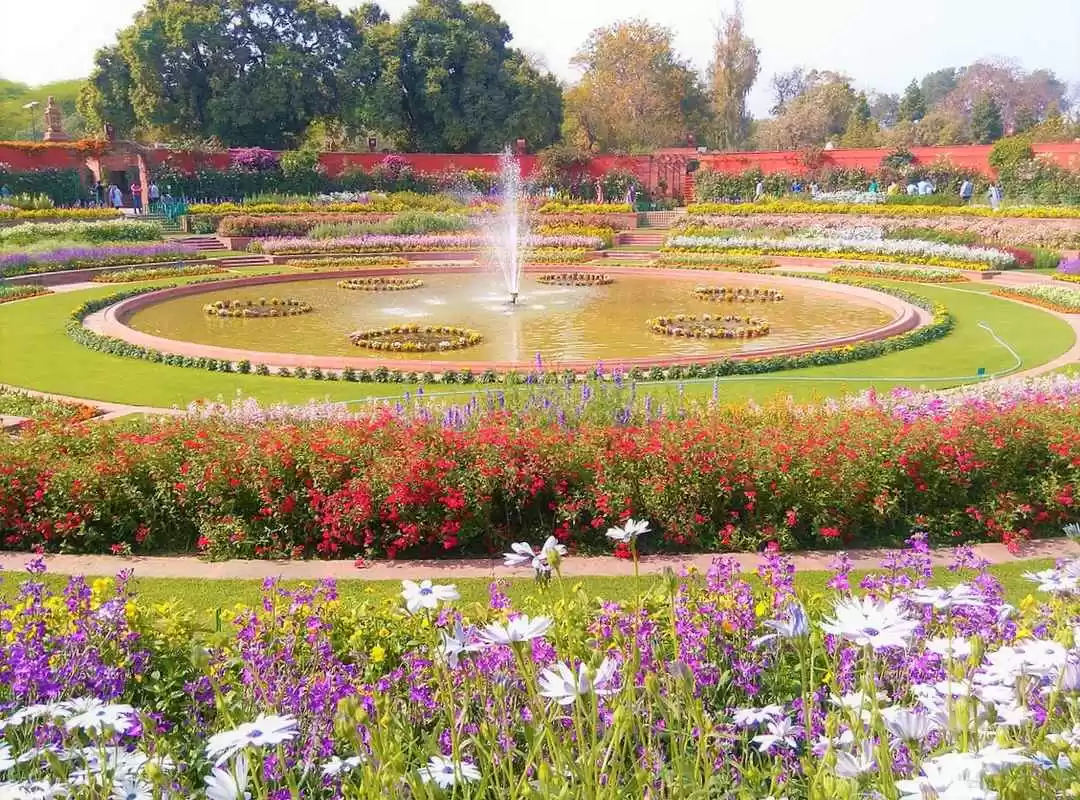Photo of खुल गया है मुग़