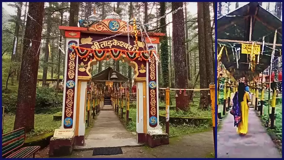 Photo of શુ તમે ક્યારેય ઉત્તર