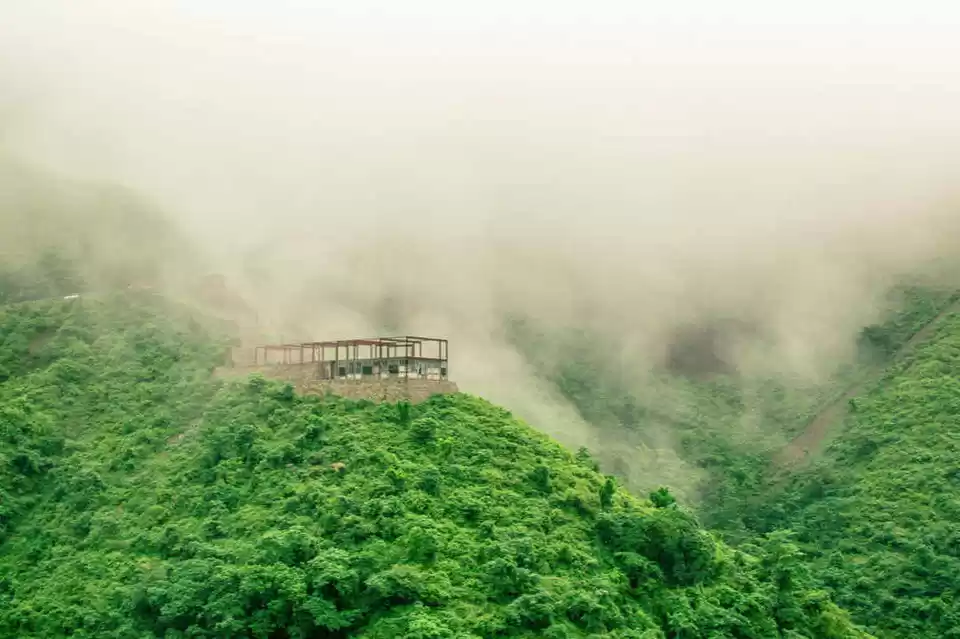 Photo of વેલી ઓફ ફ્લાવર્સ: 7