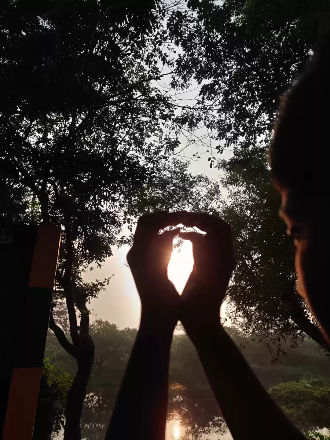 Photo of Vedanthangal Bird Sanctuary