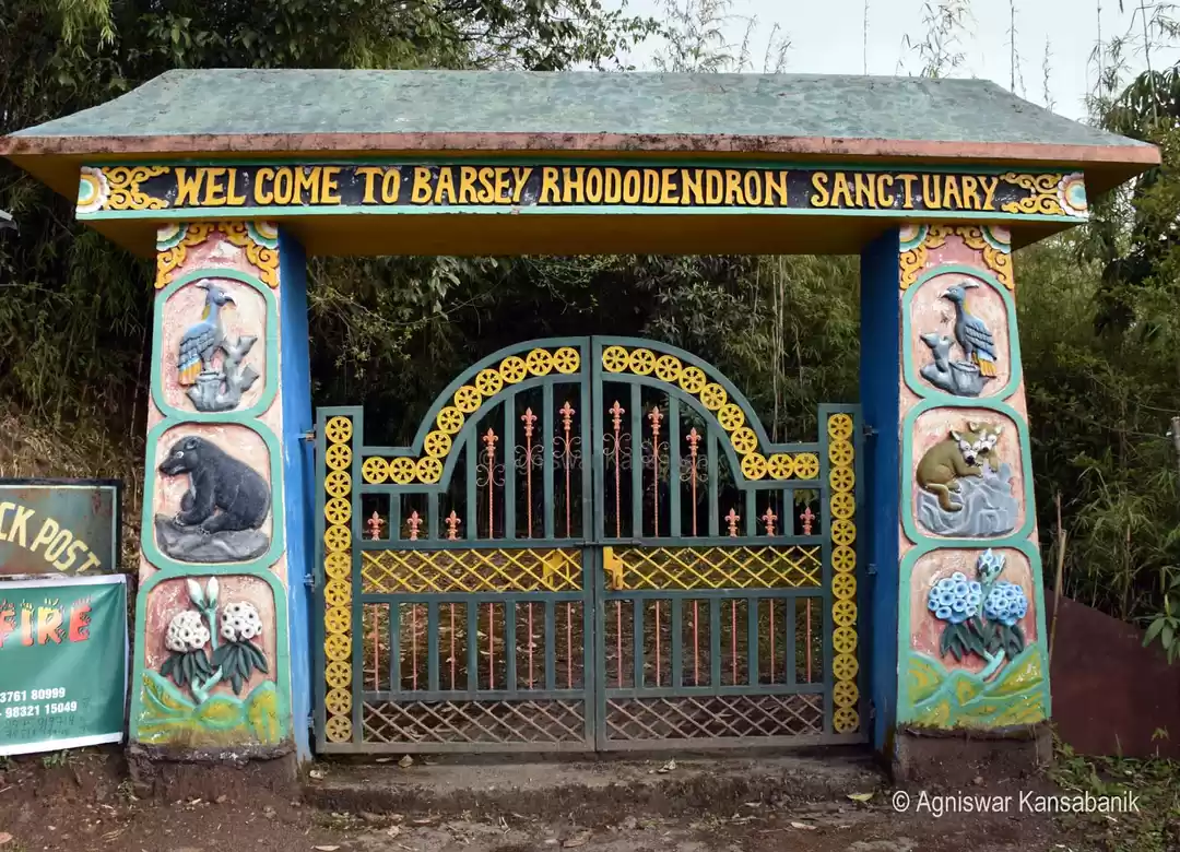 Photo of Varsey Rhododendron Sanctuary