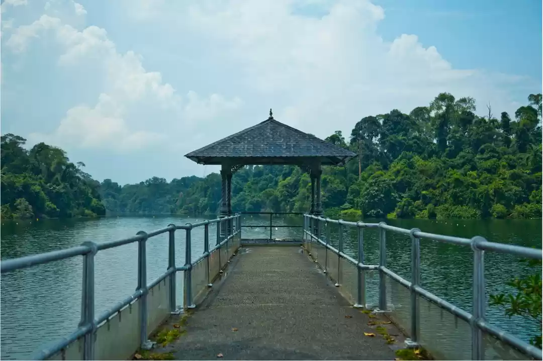 Photo of MacRitchie Reservoir