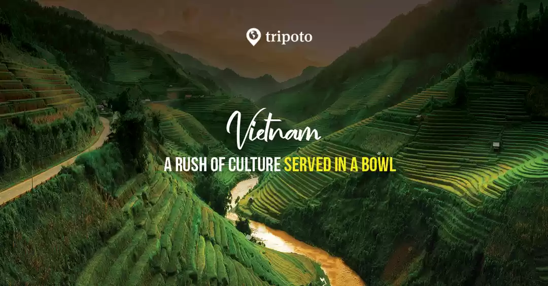 Photo of Vietnam Packages