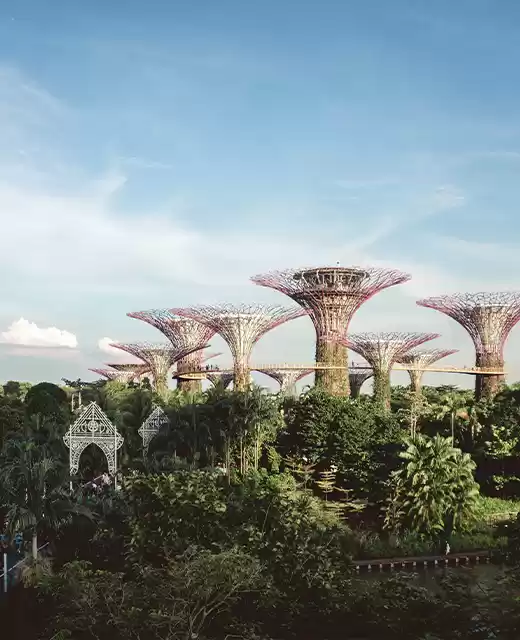 Photo of Witness exotic 