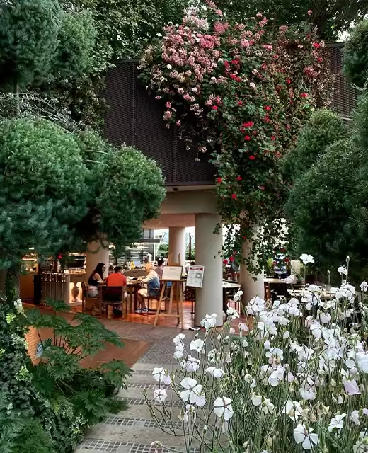 Photo of Enjoy a delecta