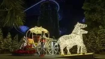 Photo of Christmas Wonde