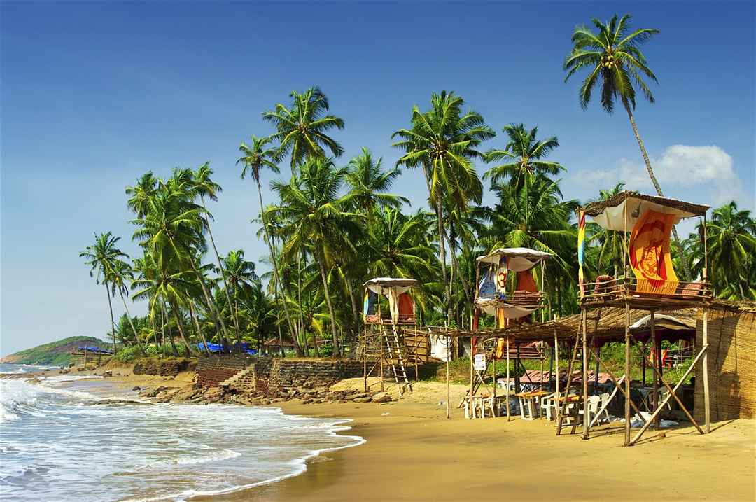 Photo of Goa Chills