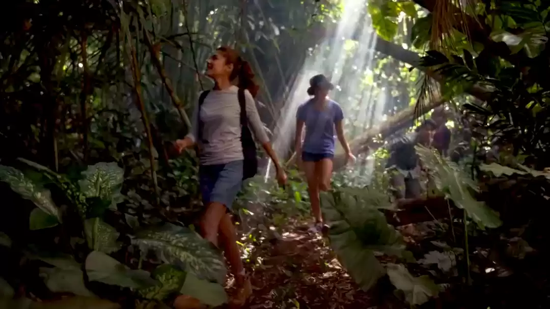 Photo of Singapore For E